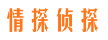 双清市调查公司